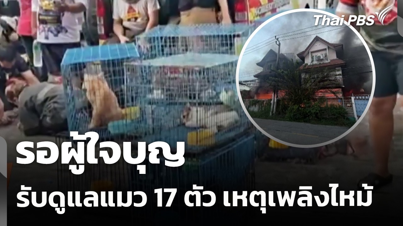 รอผู้ใจบุญรับช่วงดูแลแมว 17 ตัว เหตุเพลิงไหม้ | ชั่วโมงข่าว เสาร์-อาทิตย์ | 19 ก.ค. 69