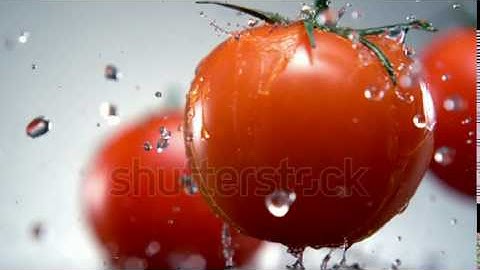 stock footage water splash on tomato shooting with high speed camera phantom flex