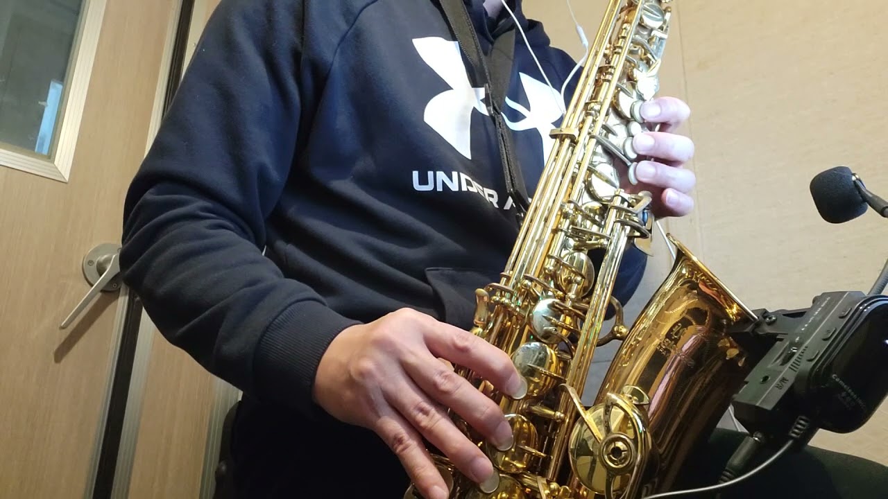 그댄 봄비를 무척좋아 하나요.(알토색소폰)