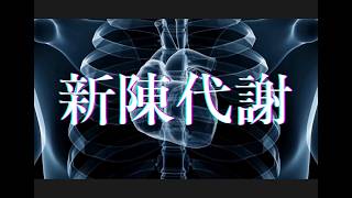 新陳代謝 - Ken Ho (Official Music Video)