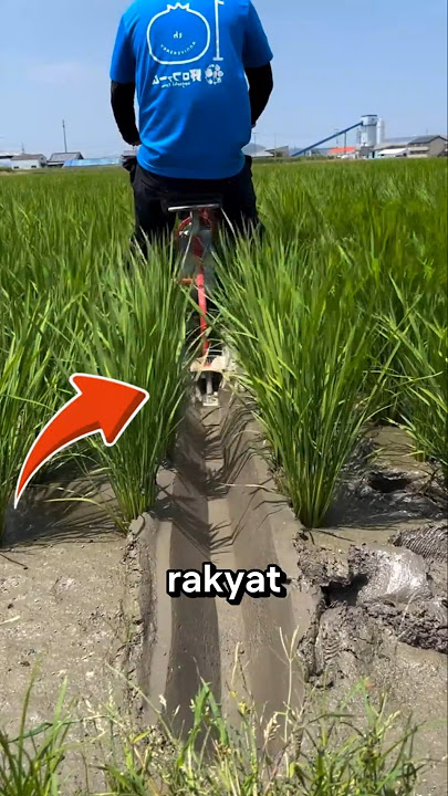 mesin canggih pertanian di Tiongkok