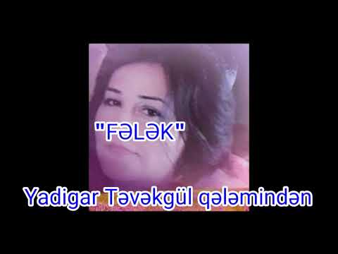 Yadigar Təvəkgül-Fələk