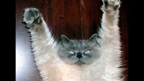 Uberbyte Versus Synthax - Pray If Something Gets Hard