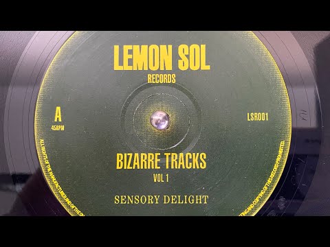 Bizarre Tracks — Bizarre Tracks Volume 1 - Sensory Delight