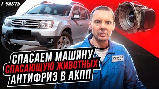 Спасаем машину, спасающую животных: ремонт АКПП Рено Дастер, антифриз в АКПП DP8. Дом Зайца