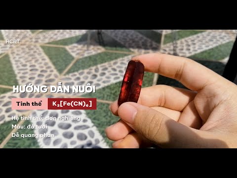 Video HD #19: Hướng dẫn nuôi tinh thể đỏ K3Fe(CN)6 | HCRT -... - youtube