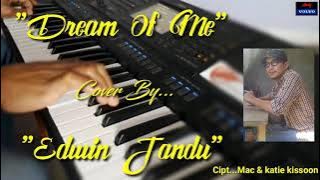 'Dream Of Me' Cover by... Edwin Jandu & Andy volvo🎹