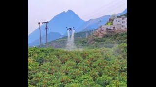 Famous The Future Is Here: How China Built Its Technological Empire Wealth