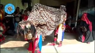 BARONGAN SINGA EBEG PUTRA SIDO MUNCUL JAYA#janturan #mendeman 