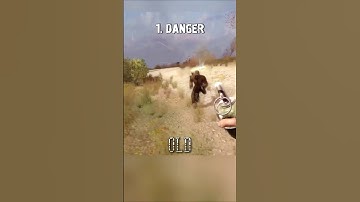 15 Year Old AI Vs Now