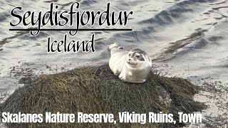Exploring Seydisfjordur Icleland | Nature Reserve, Viking Ruins, Town Walk