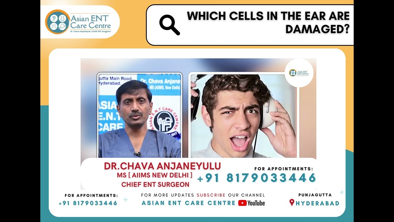 Damaged Inner Ear Cells & Hearing Loss|Signs Your Eardrum is Ruptured| How to take care of your Ears