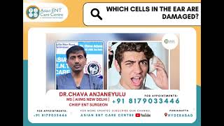 Damaged Inner Ear Cells & Hearing Loss|Signs Your Eardrum is Ruptured| How to take care of your Ears