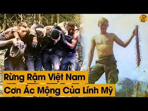 Video Lính Mỹ Ám Ảnh Điều Gì Nhất Mỗi Khi Nhắc Đến Tác Chiến... - youtube