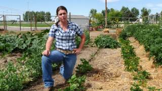 Herbicide Damage | From the Ground Up