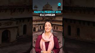 Seeing The Real Madhya Pradesh with IAS Shri Sheo Shekhar Shukla! | Curly Tales