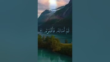 سوره ( عبس وتولى) القارئ عبدالعزيز الزهراني