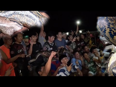 2025 COBRA PRINCE TEAM BLOOPERS ANG MGA HIGANTENG SAWA NA NAHULI NILA COBRA PRINCE