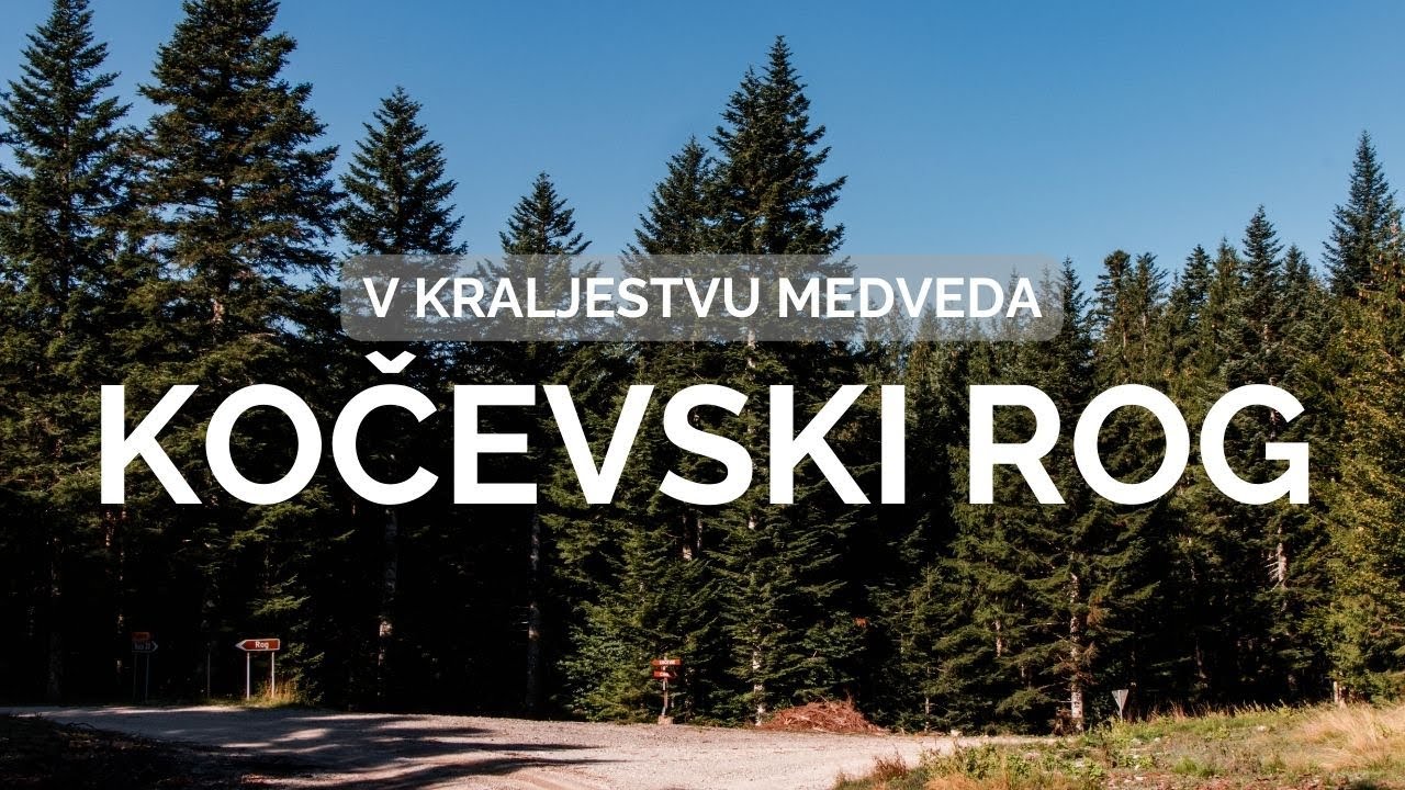 V kraljestvu medveda - Kočevski Rog // Lepote narave, ostanki vasi, grobišča.