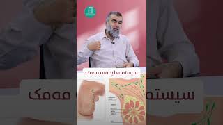 لیمفەگرێکانی مەمك چین؟ گەورەبوونیان جێگای ترس و نیگەرانییە؟ screenshot 2