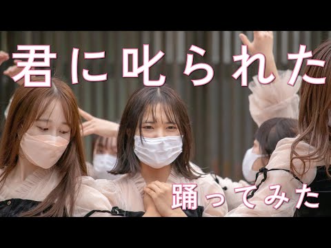 【踊ってみた】乃木坂46『君に叱られた』【桜坂】（第21回弘前大学総合文化祭）　#乃木坂46　#踊ってみた