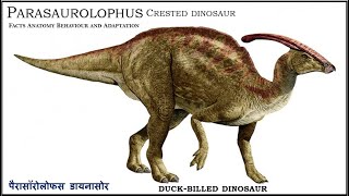 Parasaurolophus | Crested dinosaur | Duck billed dinosaur | Dinosaur Facts | पैरासॉरोलोफस डायनासोर |