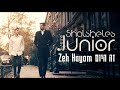 Shalsheles junior  zeh hayom       official music