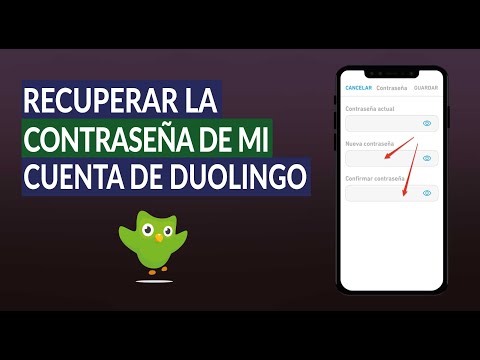 Cómo Recuperar o Restablecer la Contraseña de mi Cuenta de Duolingo Fácil y Rápido