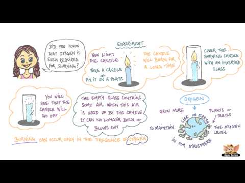Air Around Us - What is Air made of?