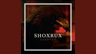 Zakovat - Shoxrux