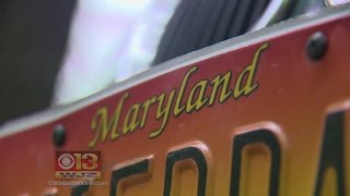 Spanish Word At The Center of License Plate Free Speech Debate in Md.