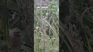 Firstport Maintenance Company For Barnet No Maintenance Office In Luton London Public Money Hendon