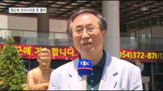 청도에 코미디타운 문 열어 170526[대구경북 TBC뉴스]