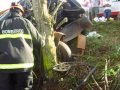 UNO BATE CONTRA ÁRVORE NA ERS-342 EM IJUÍ 09/03/15