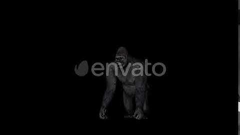 Gorilla Angry Front | Motion Graphics - Envato elements
