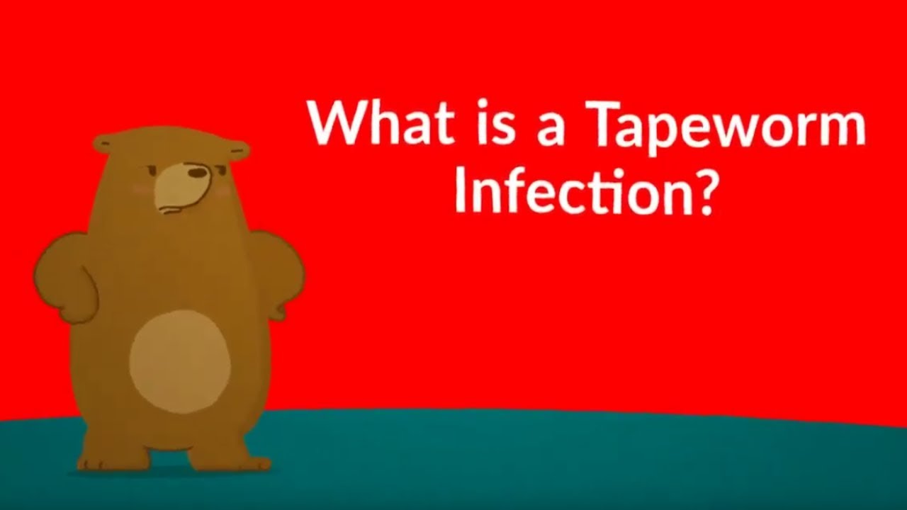 What is a Tapeworm Infection? (Symptoms, Causes, Treatment, Prevention