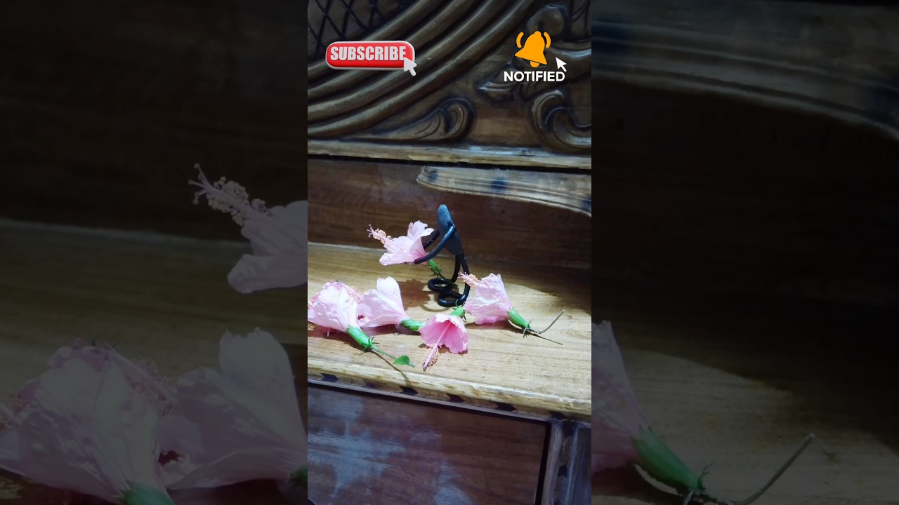 blackman save the flowers 😍