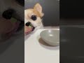 한 알 먹방 single bite mukbang