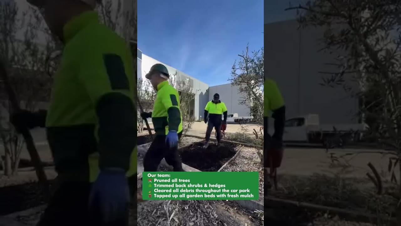 Commercial garden makeover #jimsmowing #jimsgroup #franchise #gardening #lawntok