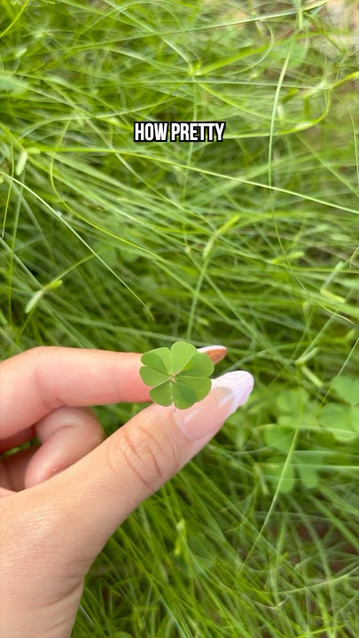 Finding A Four Leaf Clover