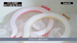 Smart ICE案内動画 FL 210324