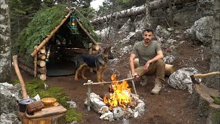 Building Bushcraft Survival Shelter  Winter Camp in the Wilderness with My Dog