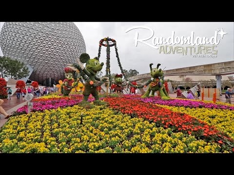 How I spent a drizzly day in Florida, Gators n Epcot! OH MY