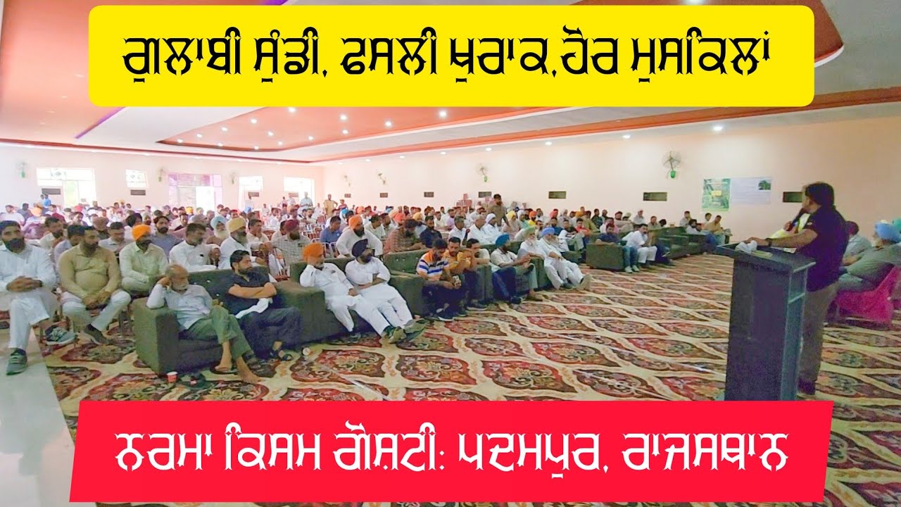 ⁣400 kisan 90mint cotton crop management: Padampur Rajasthan