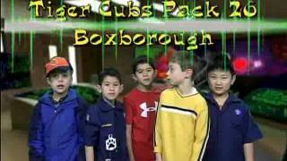 Tiger Cubs Pk 26 PSA