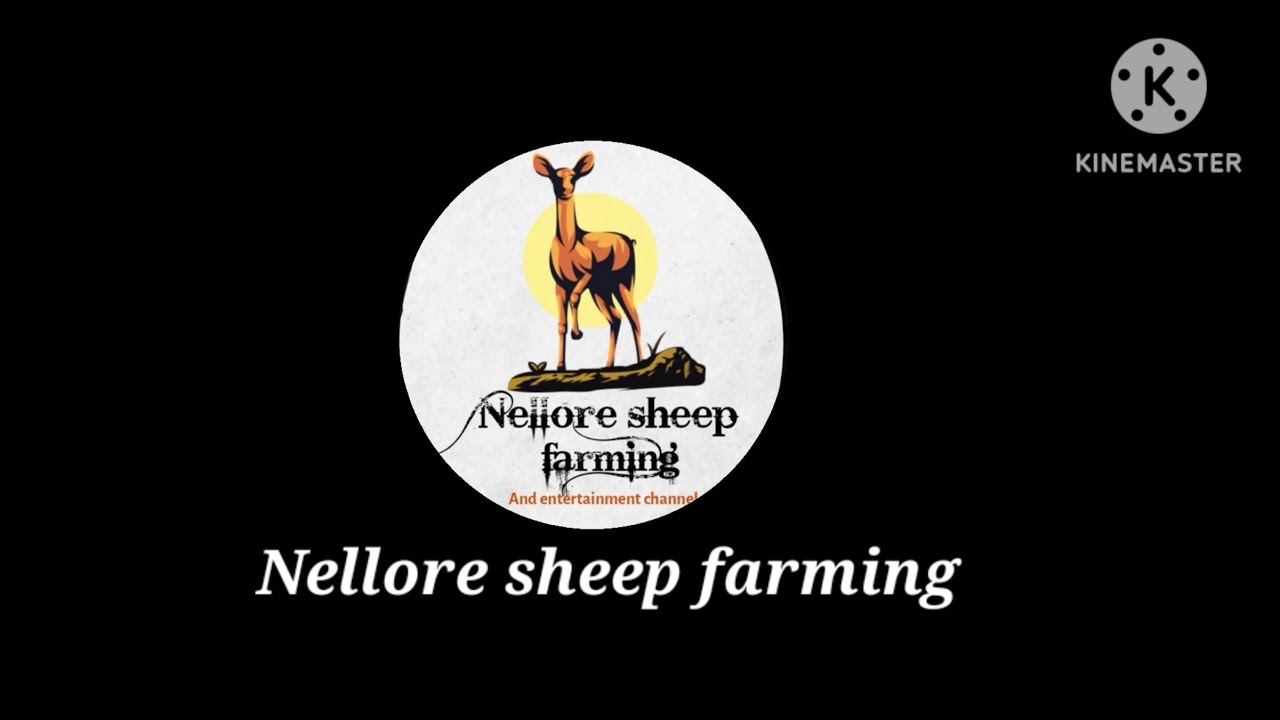 Nellore sheep farming