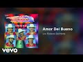 Los Rieleros Del Norte - Amor Del Bueno (Audio)