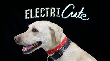 SparkFun ElectriCute - Conductive Velcro-style Hook and Loop