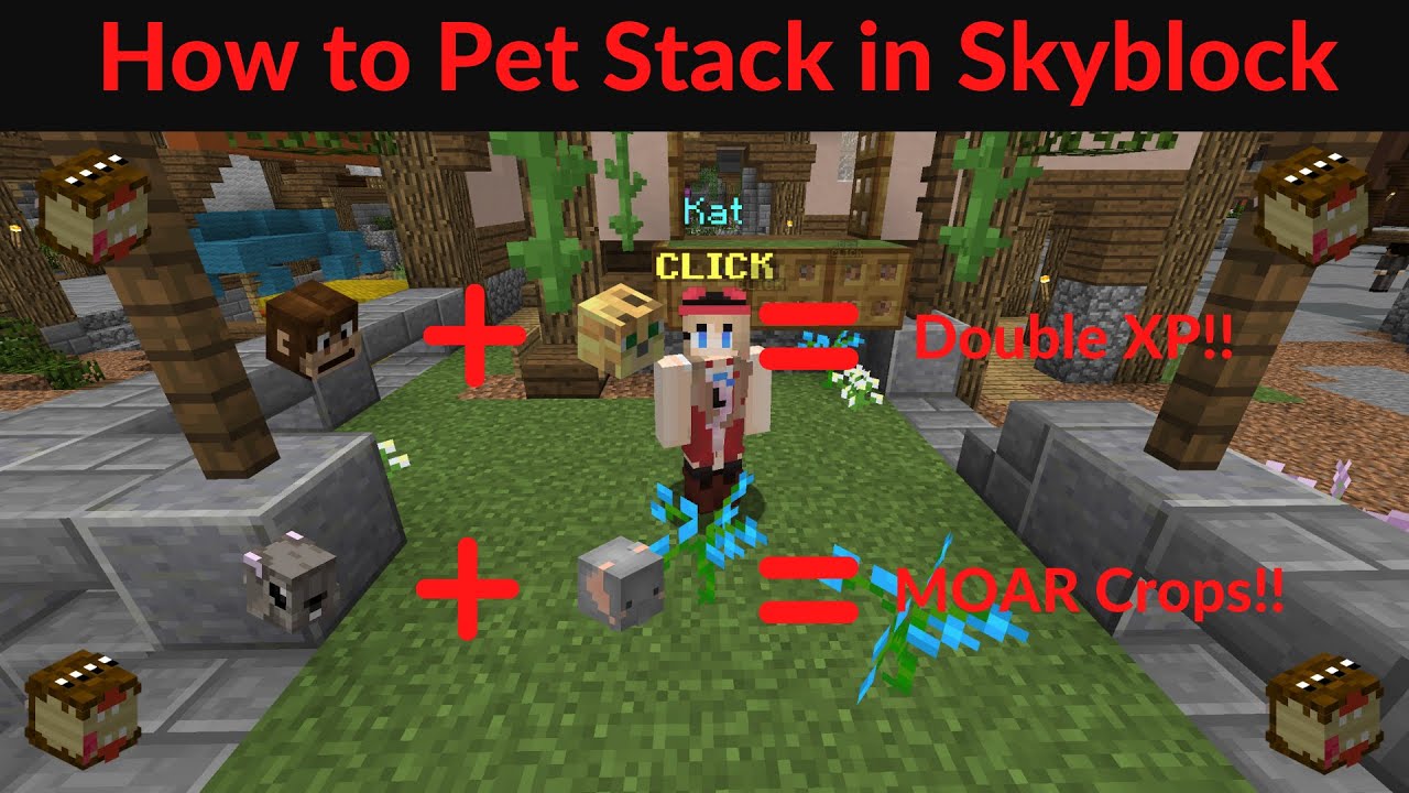 How to Pet Stack in Hypixel Skyblock (Its OP)!!! (Patched) YouTube