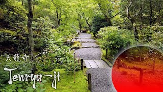 Tenryu-ji Garden, First of the five Zen-temples in Kyoto | 天龍寺 | 4k